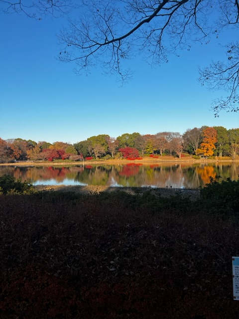 国営昭和記念公園