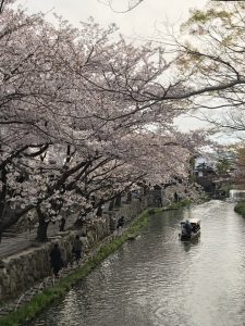 近江八幡水郷めぐり