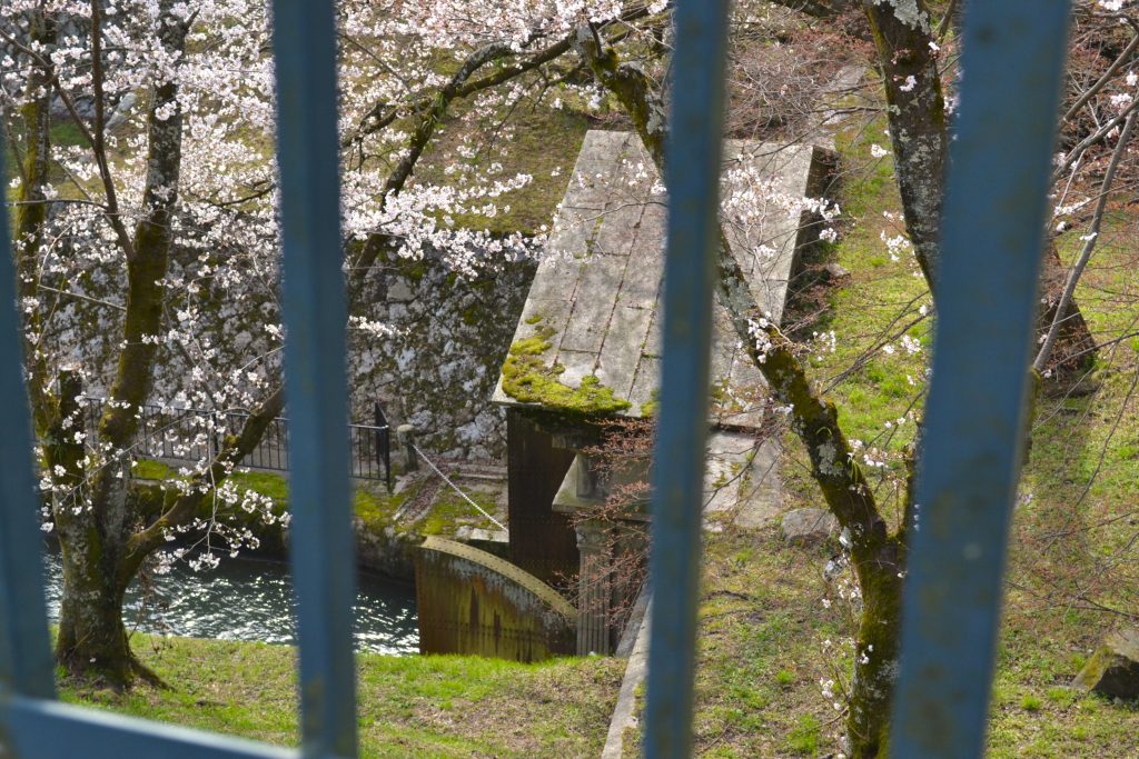 琵琶湖疏水（大津側）