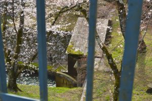 琵琶湖疏水（大津側）