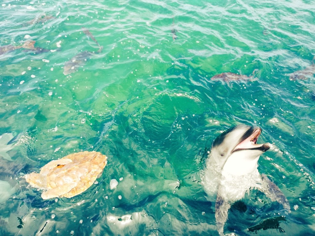 のとじま水族館