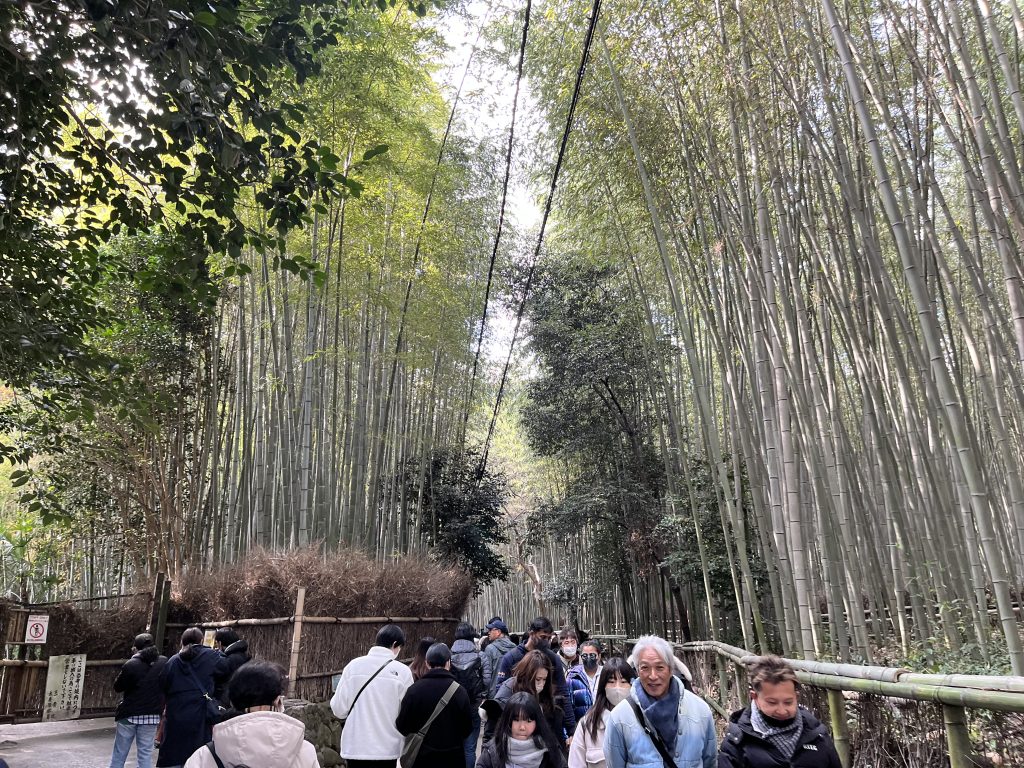 嵐山（竹林の小径）