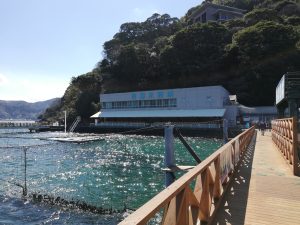 あわしまマリンパーク