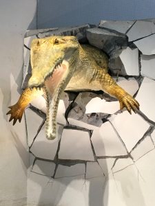 NIFREL（ニフレル）