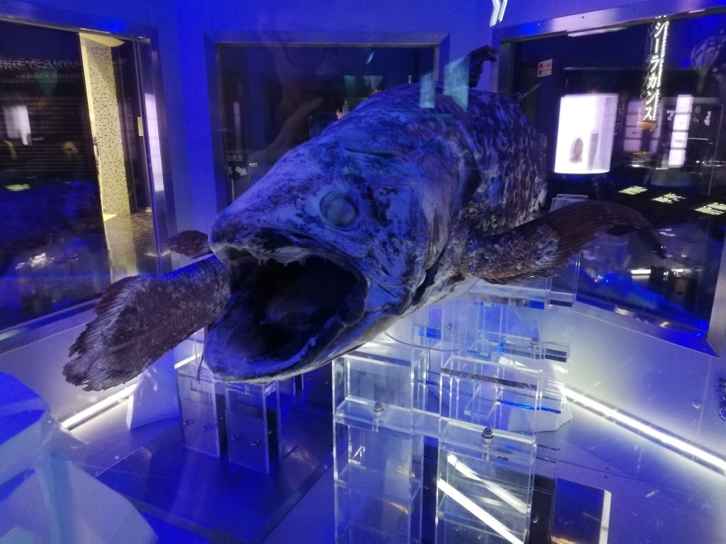 沼津港深海水族館 シーラカンス・ミュージアム