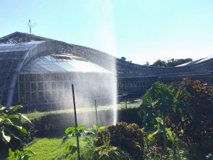 京都府立植物園