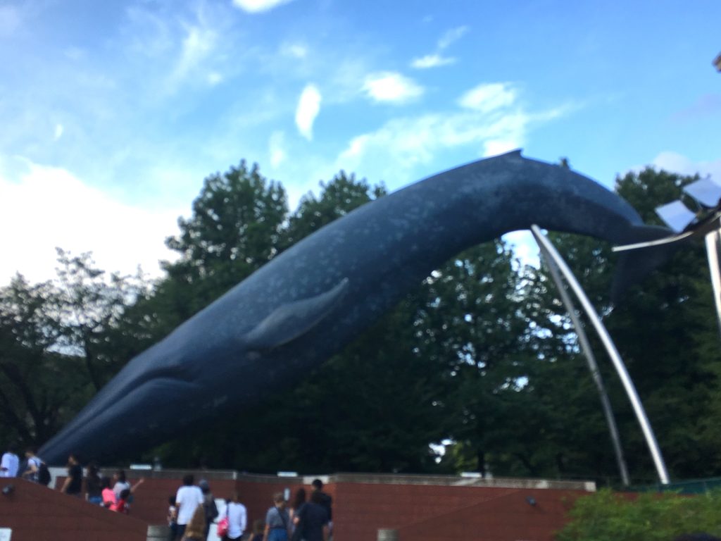 東京国立博物館
